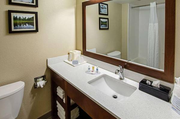 Comfort Inn & Suites Santee