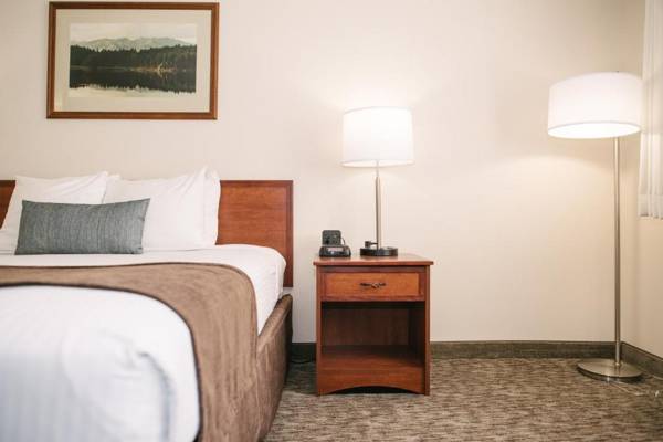 Best Western Buffalo Ridge Inn Near Mt Rushmore