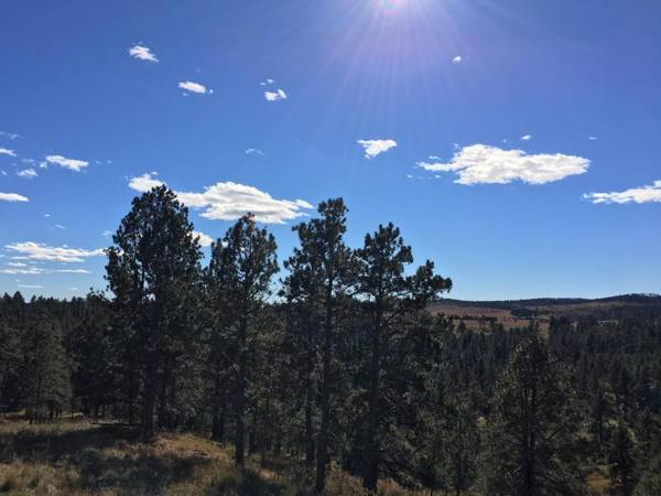Priceless Black Hills View