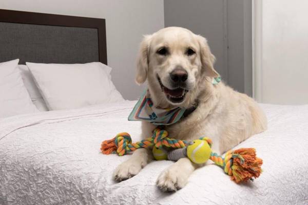 Hampton Inn & Suites Rapid City Rushmore SD