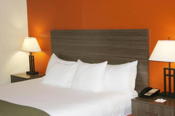 Holiday Inn Express Hotel & Suites Chattanooga-Lookout Mountain an IHG Hotel