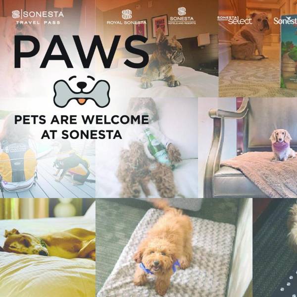 Sonesta Select Chattanooga Hamilton Place