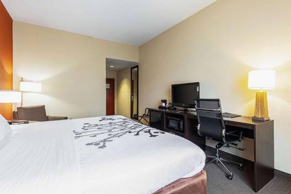 Workspace - Sleep Inn & Suites Dyersburg I-155