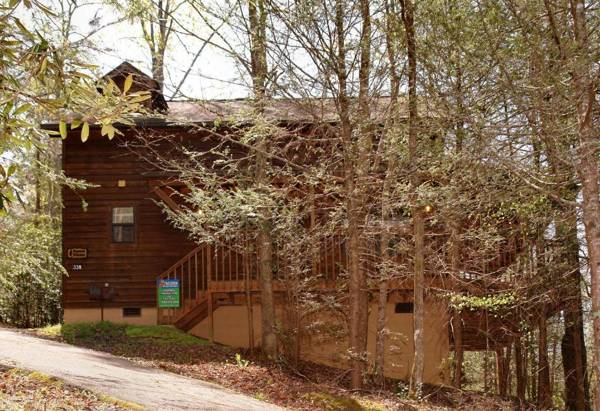 Mountain Hideaway #338