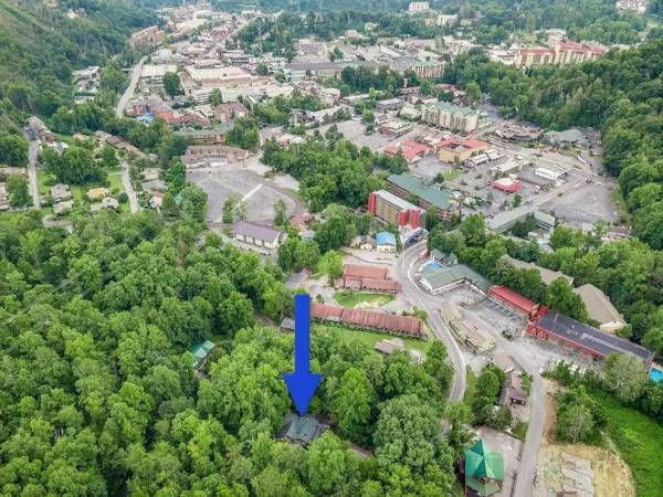 The Cave at Shady Woods - 1 Bedroom Studio - Walk to Downtown!