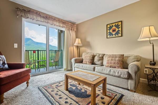 Deer Ridge Mountain Resort C106