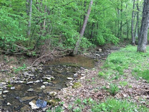 Executive 4bdr Country Getaway-Bachelor(ette) Wedding Parties Welcome