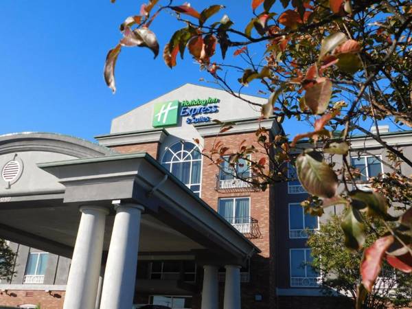 Holiday Inn Express Hotel & Suites Millington-Memphis Area an IHG Hotel