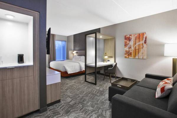 SpringHill Suites by Marriott Chattanooga North/Ooltewah