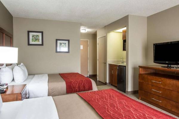 Comfort Inn & Suites at Dollywood Lane