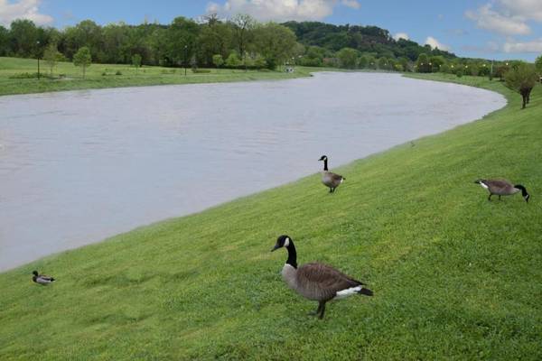 Riverview Inn - Pigeon Forge/Sevierville