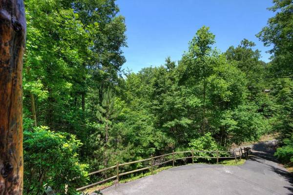 A Secluded Bearadise #247