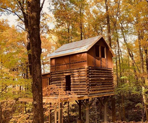 The Honey Pot