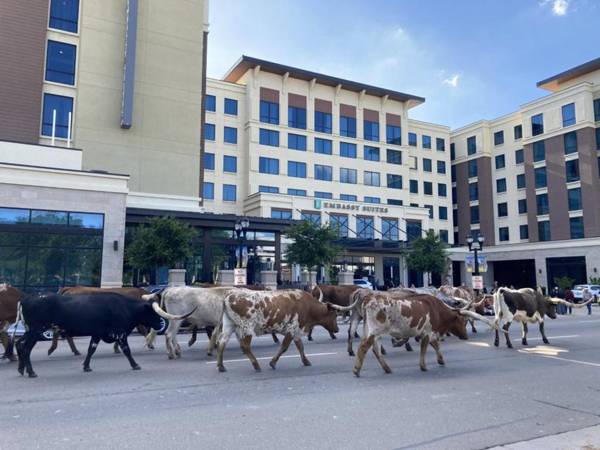 Embassy Suites Amarillo Downtown