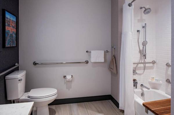 Hilton Garden Inn Austin University Capitol District Tx