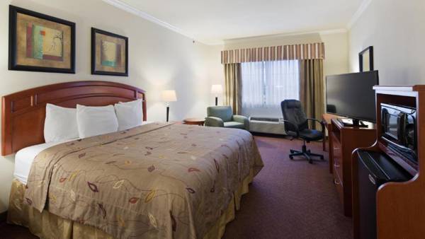 Best Western Inn & Suites Cleveland