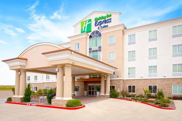 Holiday Inn Express Hotel & Suites Dallas West an IHG Hotel
