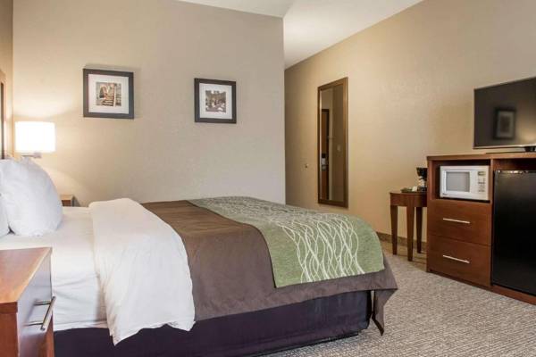 Comfort Inn Edinburg South