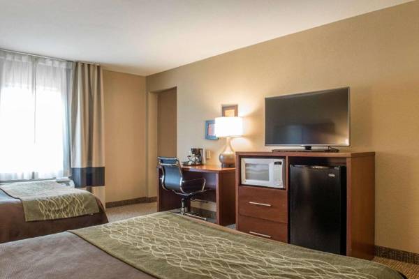 Comfort Inn Edinburg South