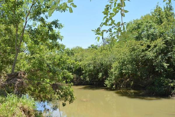 HR Cabin 3- The Little Bear Cabin