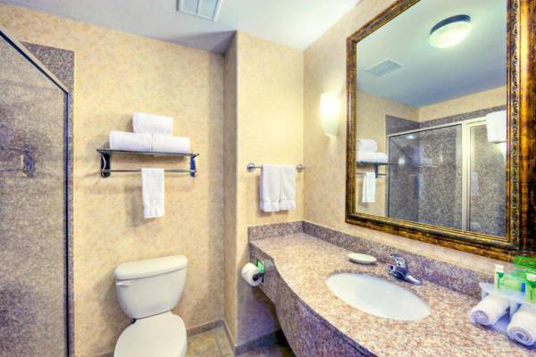 Holiday Inn Express and Suites Granbury an IHG Hotel