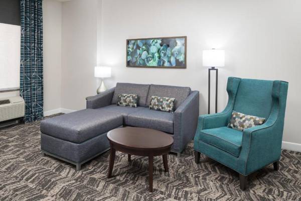 Hilton Garden Inn DFW North Grapevine