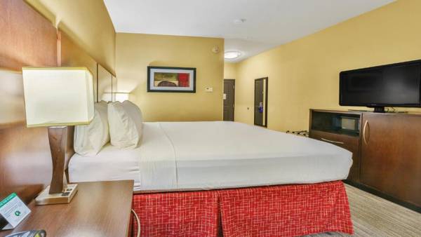 Holiday Inn Express & Suites Houston South - Near Pearland an IHG Hotel
