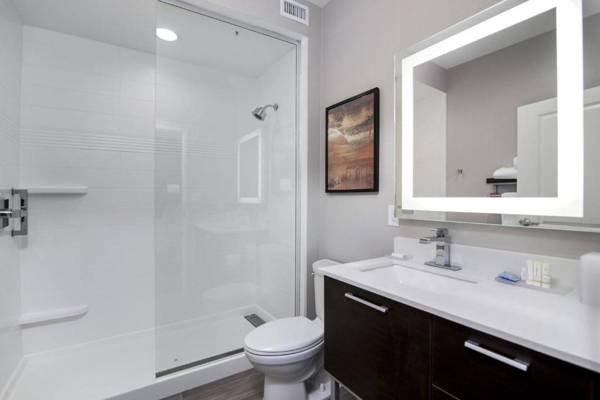 TownePlace Suites by Marriott Houston Hobby Airport