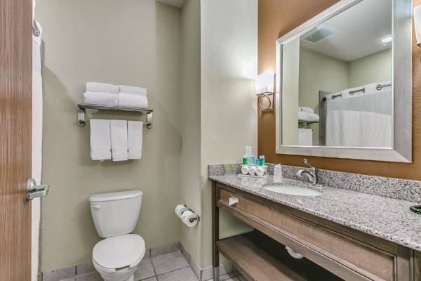 Holiday Inn Express & Suites Lubbock Southwest – Wolfforth an IHG Hotel