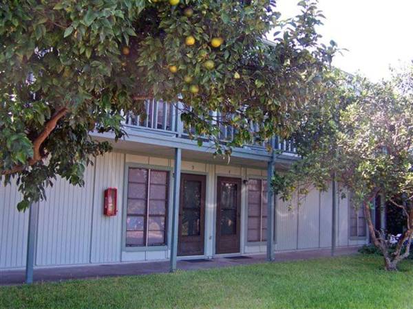 Mustang Bungalow 4MI