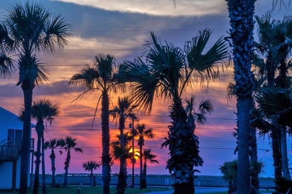 Pelicans Place LCV23