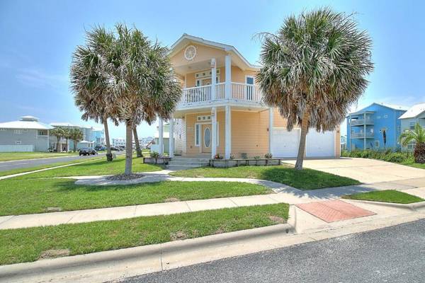 Cute As Shell IPE125