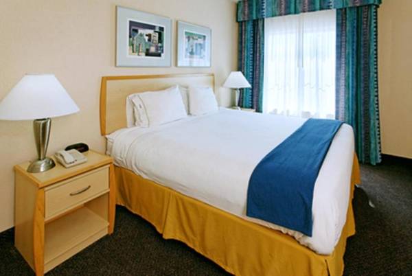Holiday Inn Express Hotel & Suites San Antonio - Rivercenter Area an IHG Hotel