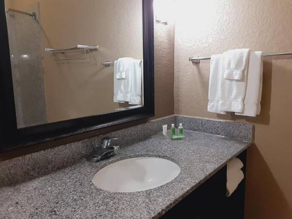 Holiday Inn San Antonio North Stone Oak Area an IHG Hotel