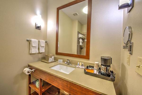 Comfort Suites - Tomball