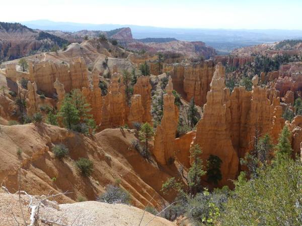 The Evergreen - Bryce Canyon National Park