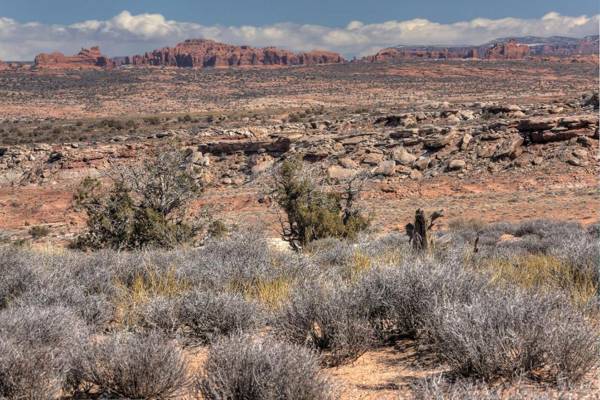 Under Canvas Moab