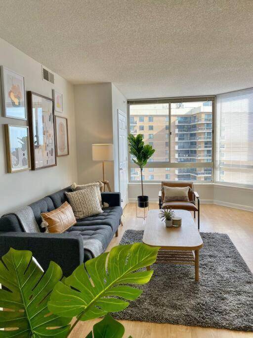 Cozy 2 Bedroom Condo At Ballston With Gym