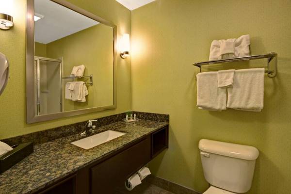 Holiday Inn Christiansburg Blacksburg an IHG Hotel