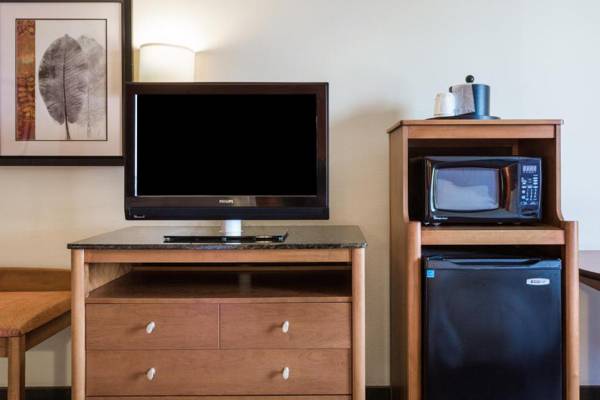 Hampton Inn Petersburg - Southpark Mall