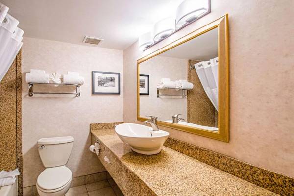 Comfort Inn Arlington Boulevard