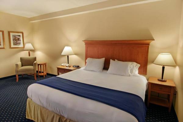 Holiday Inn Express Hotel & Suites Waynesboro-Route 340 an IHG Hotel