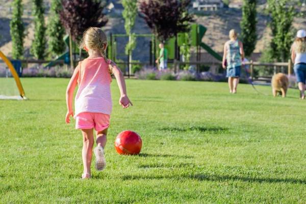 Smokey-Bauer’s Lakehouse #33