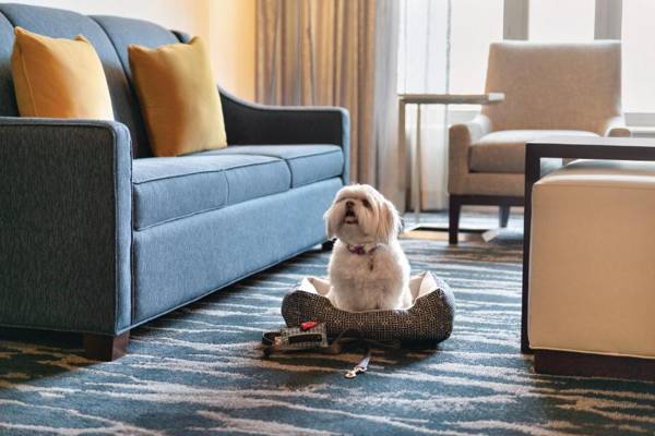 Homewood Suites by Hilton-Seattle Convention Center-Pike Street