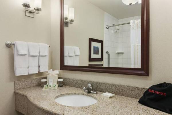 Hilton Garden Inn Wisconsin Dells