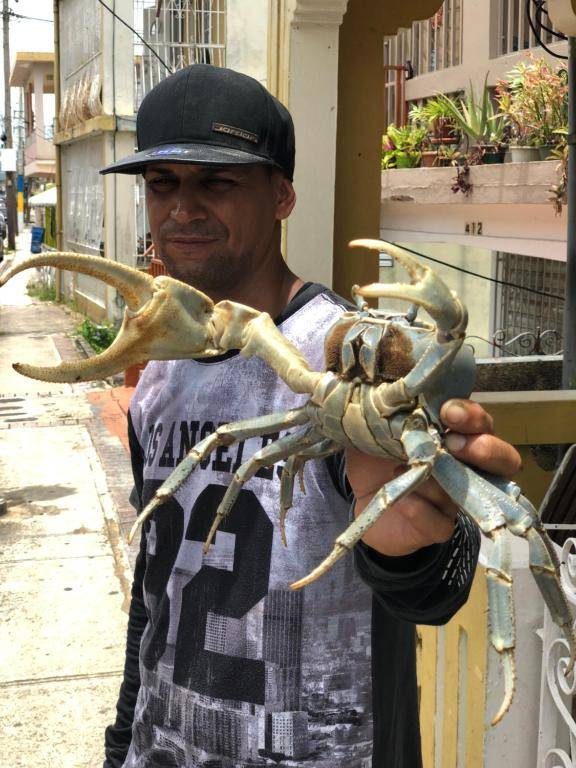 SURFER'S HIDDEN GEM BY THE SEa