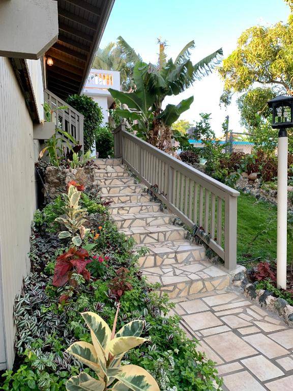 Lazy Parrot Inn & Mini Resort