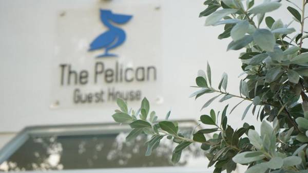 The Pelican