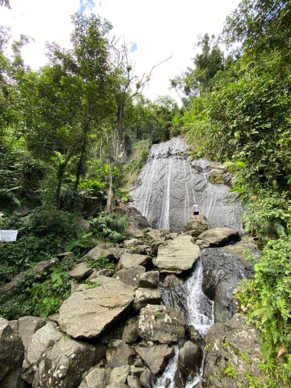 M1 with Ch ef Driver Pool & half off tours