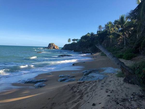 Mi Casita in the Mountains